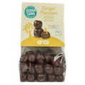 TerraSana Ginger pleasure choco bio 150 Gram