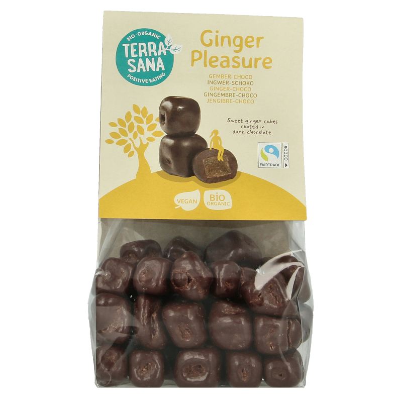 TerraSana Ginger pleasure choco bio 150 Gram
