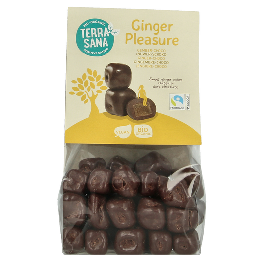 TerraSana Ginger pleasure choco bio 150 Gram