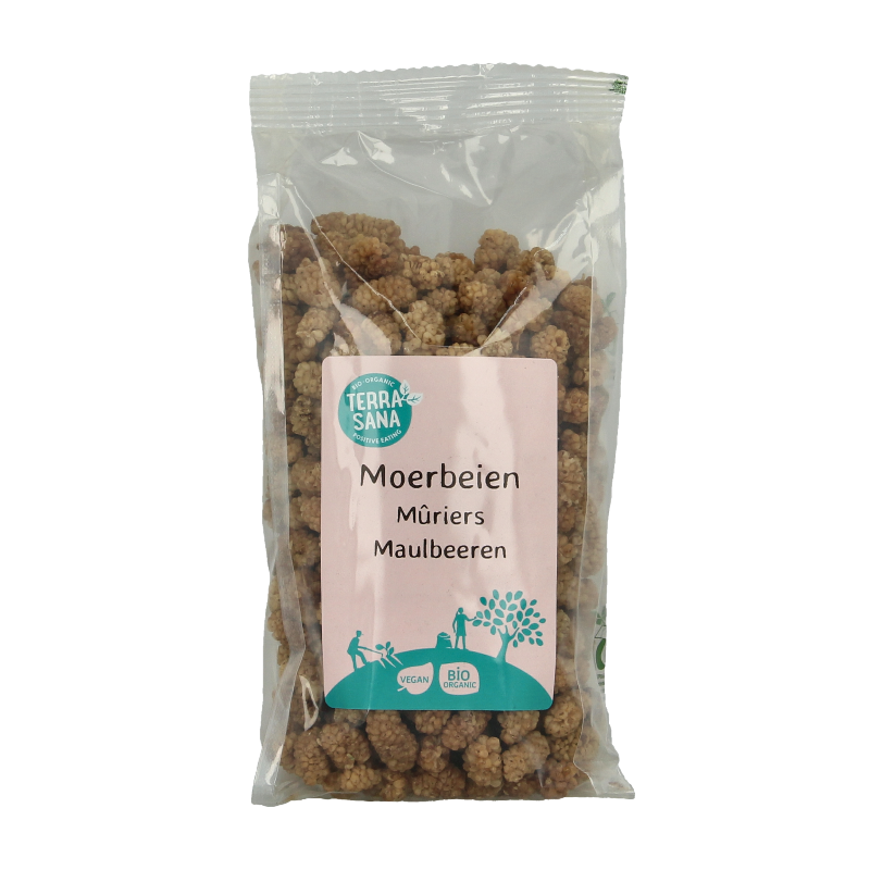 TerraSana RAW Moerbei bessen wit bio 175 Gram