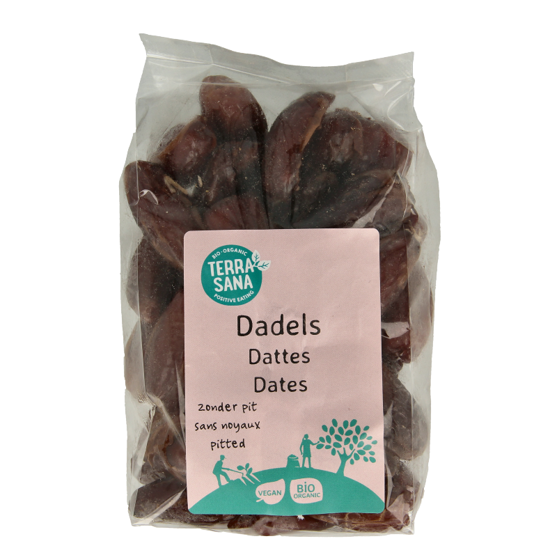 TerraSana RAW Dadels zonder pit bio 250 Gram