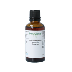 Cruydhof Ulmus campestre rubra / rode iep tinctuur 50.00 Milliliter