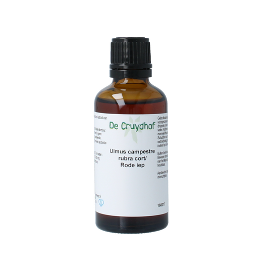 Cruydhof Ulmus campestre rubra / rode iep tinctuur 50 Milliliter