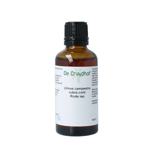 Cruydhof Ulmus campestre rubra / rode iep tinctuur 50.00 Milliliter