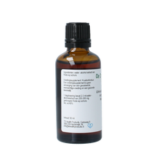 Cruydhof Ulmus campestre rubra / rode iep tinctuur 50.00 Milliliter