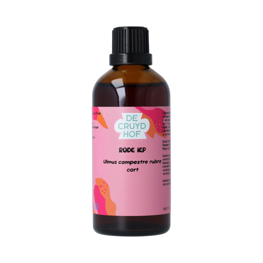 De Cruydhof Ulmus campestre rubra / rode iep tinctuur 100.00 Milliliter