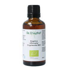 Cruydhof Angelica officinalis/engelwortel tinctuur bio 50.00 Milliliter