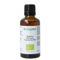 Cruydhof Angelica officinalis/engelwortel tinctuur bio 50 Milliliter
