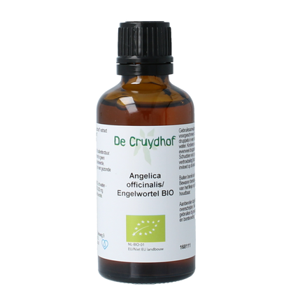 Cruydhof Angelica officinalis/engelwortel tinctuur bio 50.00 Milliliter
