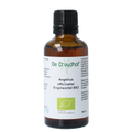 Cruydhof Angelica officinalis/engelwortel tinctuur bio 50.00 Milliliter