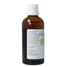 Cruydhof Angelica officinalis/engelwortel tinctuur bio 100.00 Milliliter