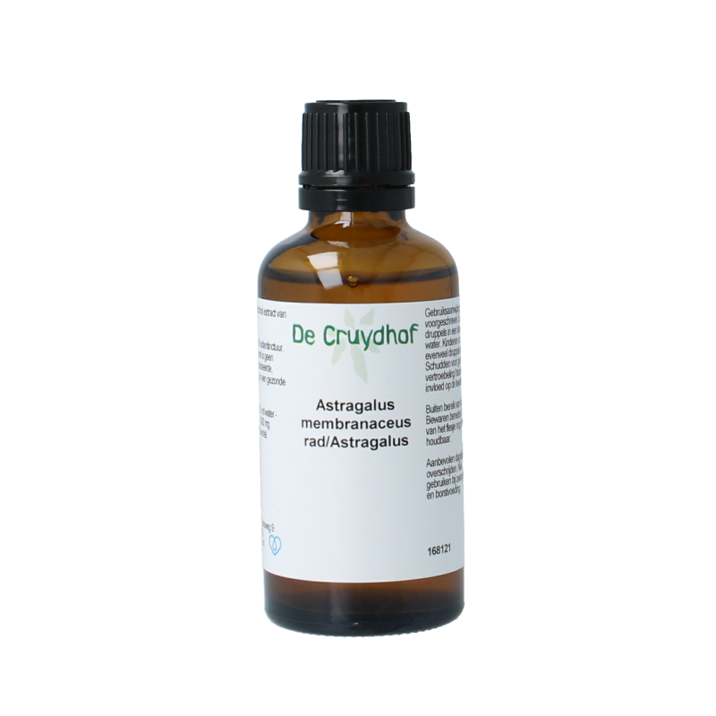 Cruydhof Astragalus membranaceus radix tinctuur 50 Milliliter