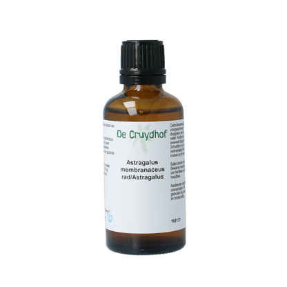 Cruydhof Astragalus membranaceus radix tinctuur 50.00 Milliliter