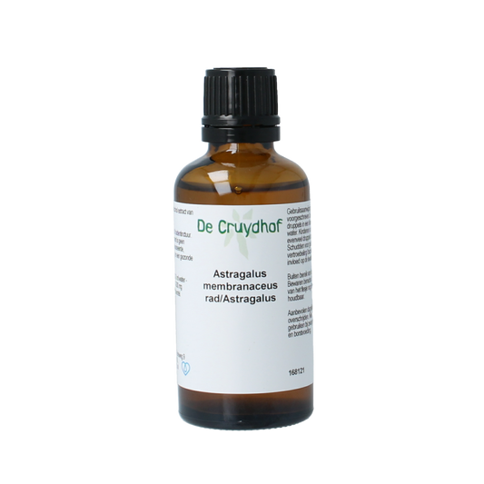 Cruydhof Astragalus membranaceus radix tinctuur 50.00 Milliliter