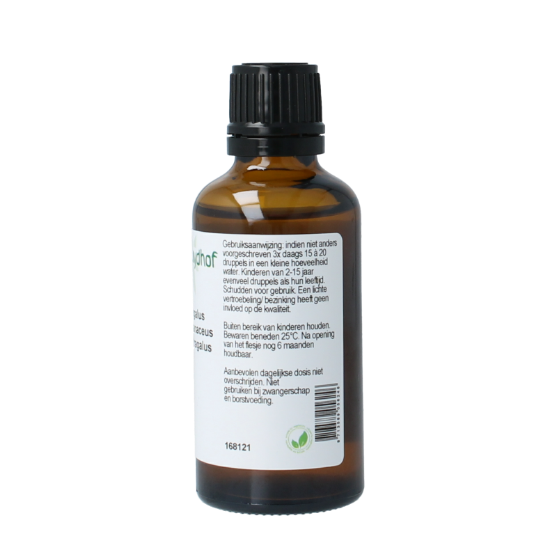 Cruydhof Astragalus membranaceus radix tinctuur 50 Milliliter