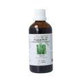 Cruydhof Rosmarinus off fol / rozemarijn tinctuur 100.00 Milliliter