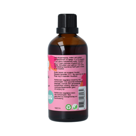 De Cruydhof Salix alba / wilgenbast tinctuur bio 100.00 Milliliter