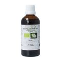 Cruydhof Sambucus nigra / gewone vlier bio 100 Milliliter