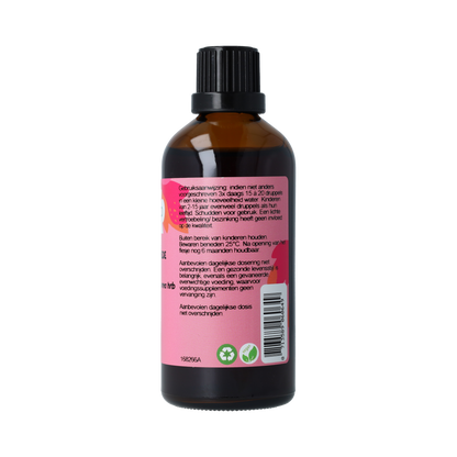 De Cruydhof Solidago virg herb / guldenroede tinctuur 100.00 Milliliter