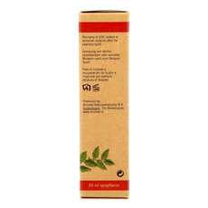 Aromed Shanghan-Lun spierolie spray 20.00 Milliliter