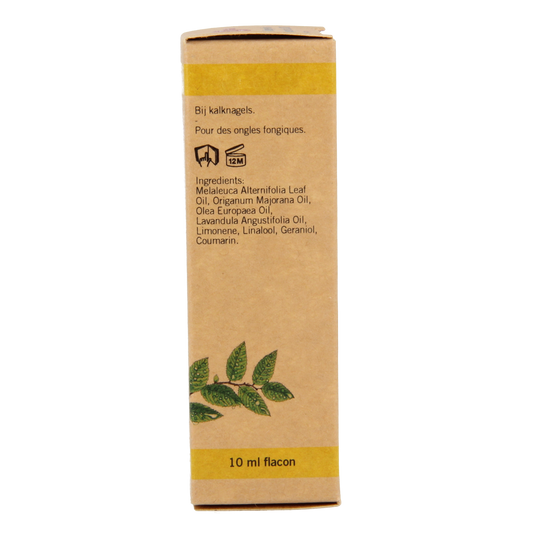 Aromed Ferula kalknagel olie 10.00 Milliliter