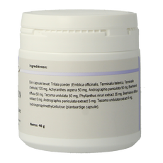 Holisan Livocin 100 Vegetarische capsules