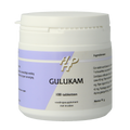 Holisan Gulukam 100.00 Tabletten