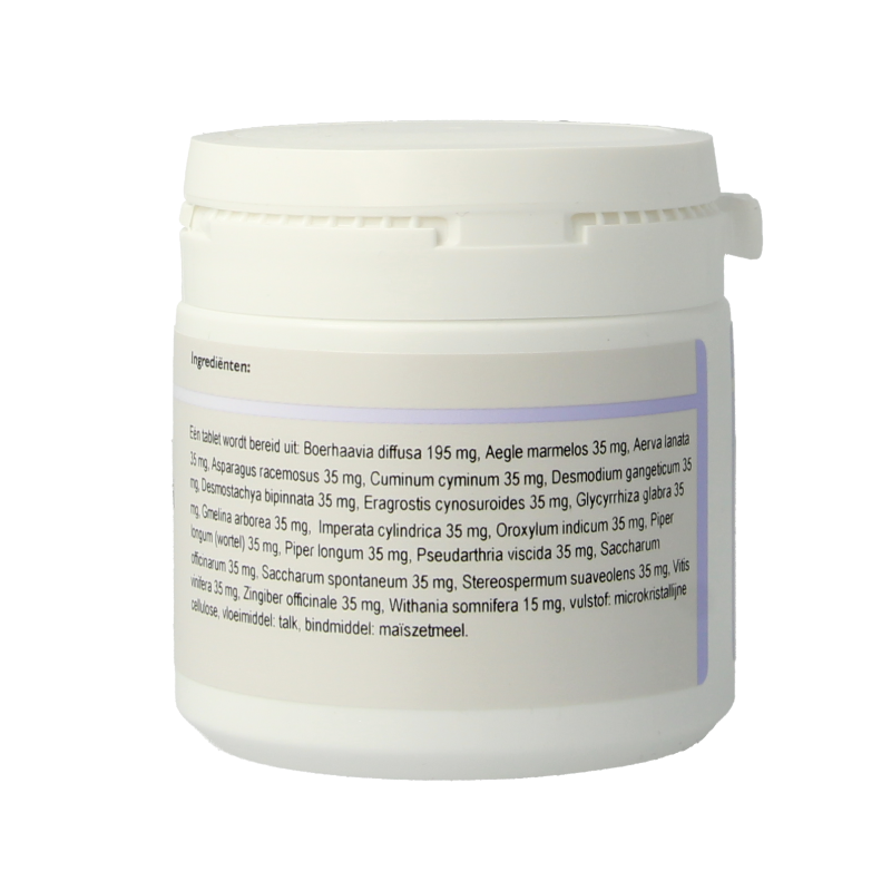 Holisan Suranam 100 Tabletten