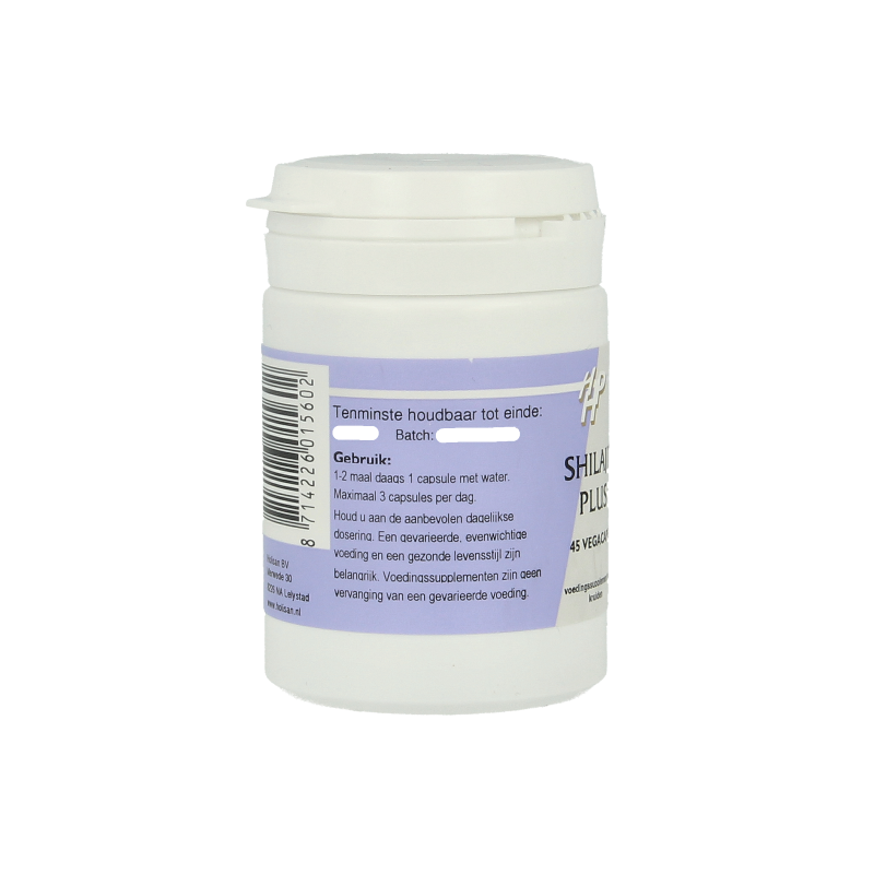 Ayurveda Shilajit plus 45 Vegetarische capsules