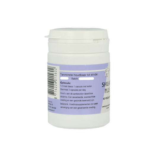 Ayurveda Shilajit plus 45 Vegetarische capsules