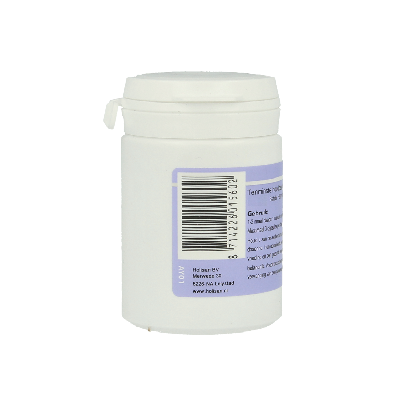 Ayurveda Shilajit plus 45 Vegetarische capsules