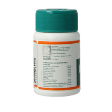 Holisan Cystone 100.00 Tabletten