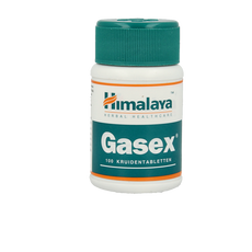 Holisan Gasex  100 Tabletten