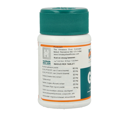 Holisan Gasex  100.00 Tabletten