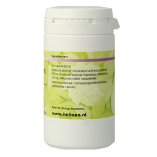 Holisan Shatavari 60 Vegetarische capsules
