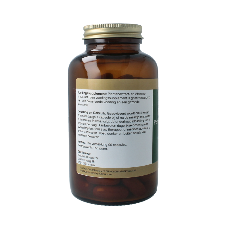 Natupharma Prostata (pompoenzaad formule) 90 Tabletten