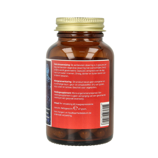 All Natural Probiotica & enzymen 60.00 Vegetarische capsules