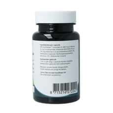 Springfield CerNADin met RiaGev™ 500mg 60 Vegetarische capsules