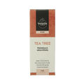 Volatile Tea tree 5 Milliliter