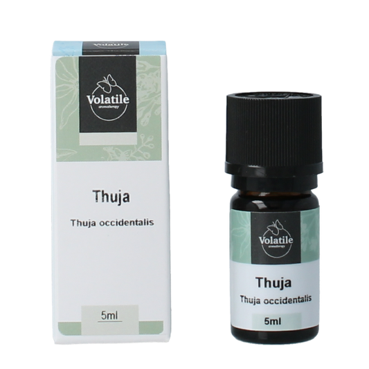 Volatile Thuja 5 Milliliter