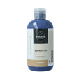 Volatile Massageolie eucalyptus (Oslo) 250 Milliliter