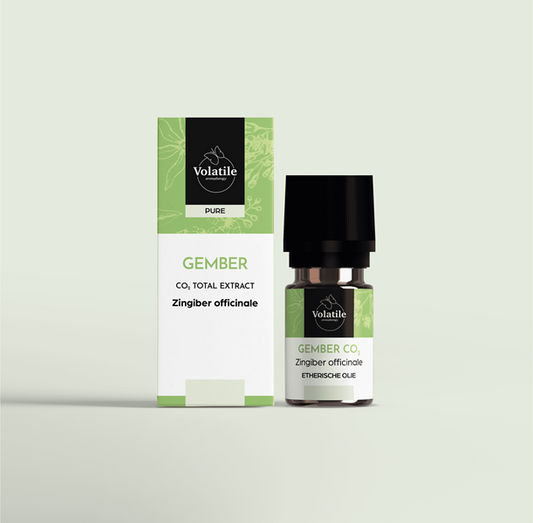 Volatile Gember CO2-TO bio 10.00 Milliliter