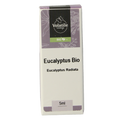 Volatile Eucalyptus radiata bio 5 Milliliter