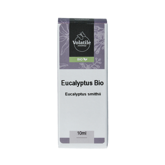 Volatile Eucalyptus smithii bio 10 Milliliter