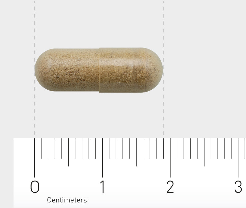 AOV 834 Bacopa (brahmi) 150mg 60 Vegetarische capsules