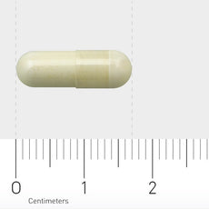 AOV 220 Pyridoxaal-5-fosfaat 120 Vegetarische capsules