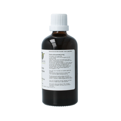 Groene Os Cynara complex paard/pony 100.00 Milliliter