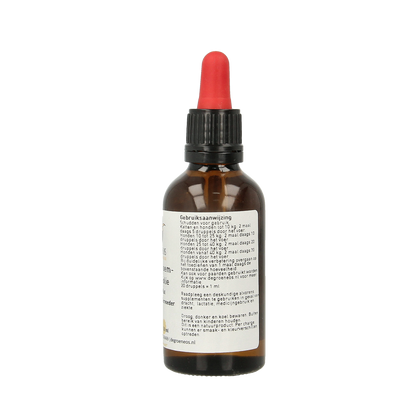 Groene Os Teunisbloem borage olie hond/kat 50.00 Milliliter