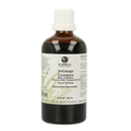 Groene Os Solidago complex paard/pony 100 Milliliter