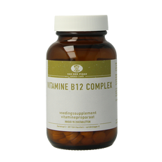 van der Pigge Vitamine B12 complex 90 Zuigtabletten